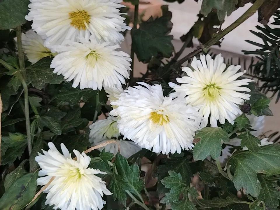 一年前,那个出轨离婚、把房子和30万现金都留给前妻孩子的男人,现在怎么样了?