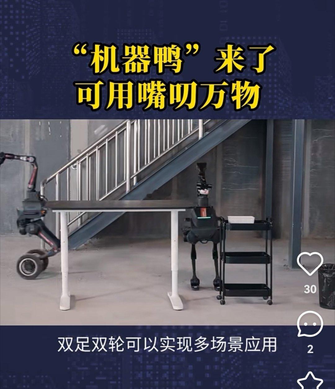 继“机器狗”之后，“机器鸭”来了。​​​
