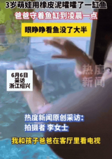 “太悲催了！”浙江绍兴，父母在客厅看电视，女儿突然走向鱼缸，爸爸意识到不对劲，赶