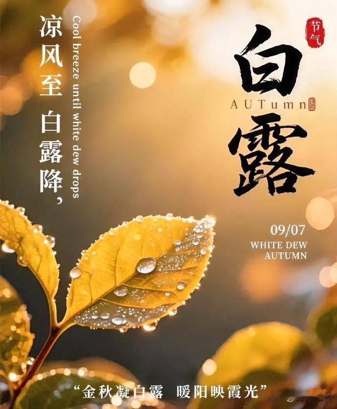 白露晴好还是雨好？种地老农实话实说，都是年年下地的经验马上就到白露，好多种