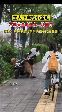这段视频我反复看了好几遍，画面十分有趣。主人停下车打算抱起小金毛，没想到留在电动
