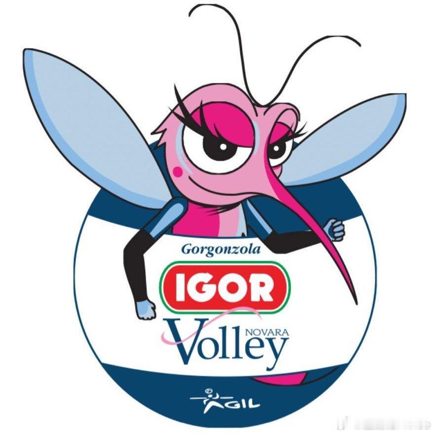 📌按照目前的转会消息🟣诺瓦拉2026/27季部分人员名单：二传：🇮?