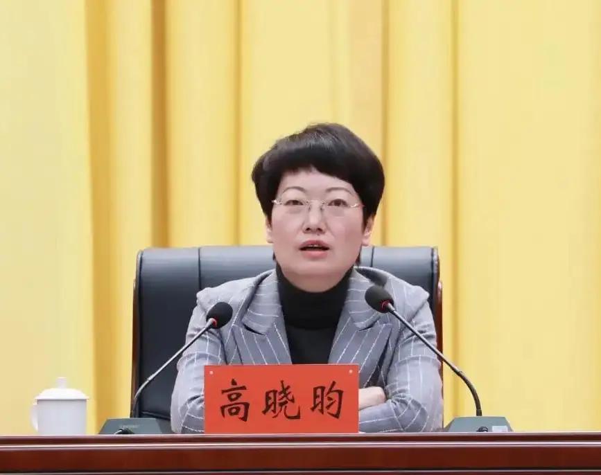 高晓昀凑巧是贵州省2026年查处的第10名女厅官。现年53岁的高晓