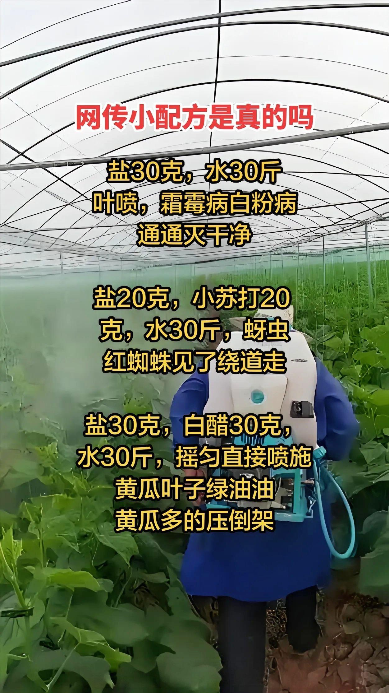 直白的说民间偏方有用，但很危险，不能全信、乱用必烧叶、减产、绝棵在这里就以上偏