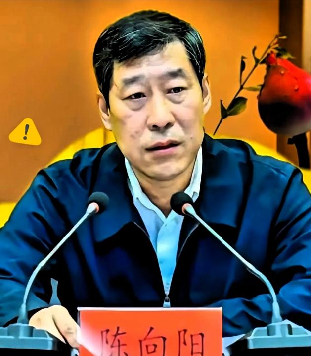 干得越好，走得越急？陈向阳的决定摁不住了官圈里全都说他可惜了。陈向阳辞
