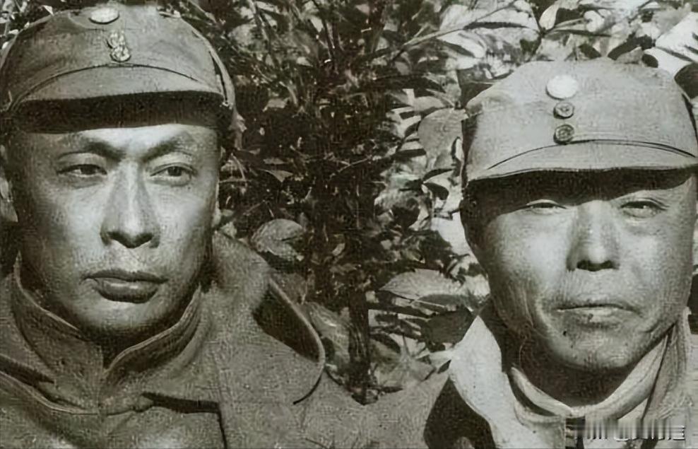 项英与陈毅现在网上三年游击战争常把项英与陈毅连在一起，似乎项陈只是正副手的关系