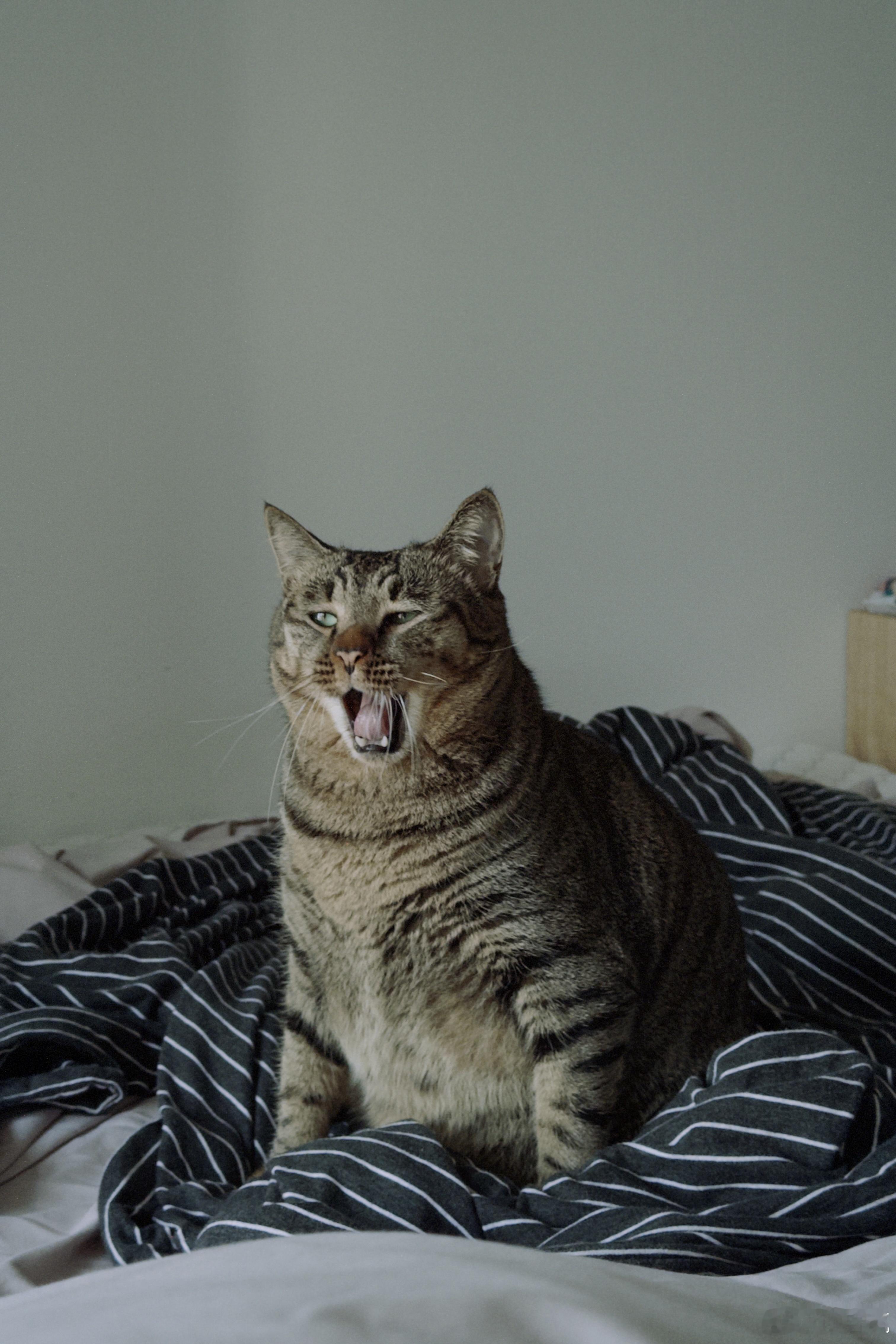 理想汽车将关闭低能效门店传来传去原来是理想啊，真能沉得住气，一直不辟谣。商超店再