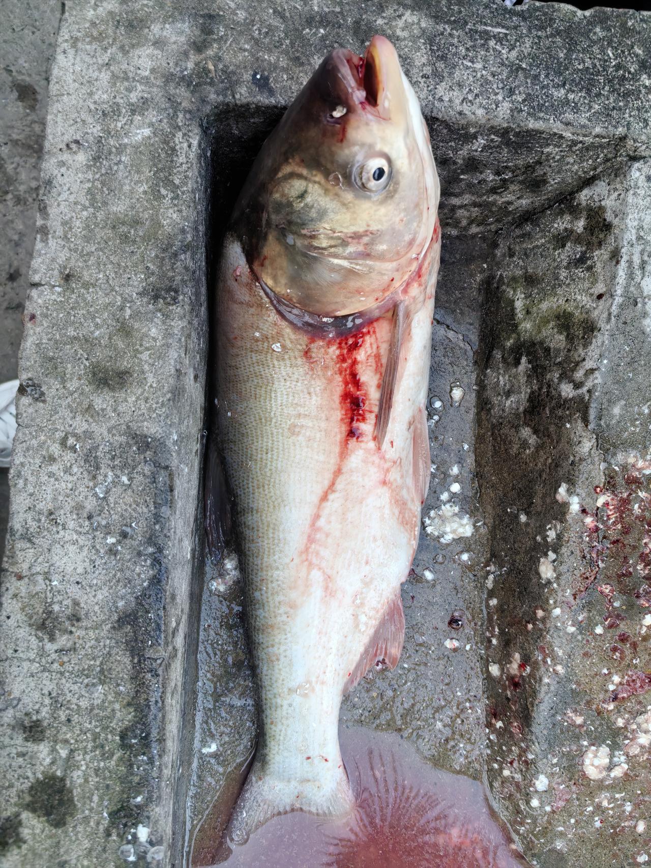 各国挣1000元人民币要多久？1、印度：一周左右2、越南：5-6天3