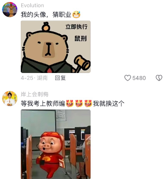 只敢换头像发发疯