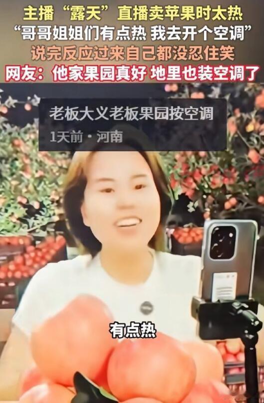我看有人说，“真去果园里的话太热了，户外直播容易中暑，果子好就行了”。那我问你，