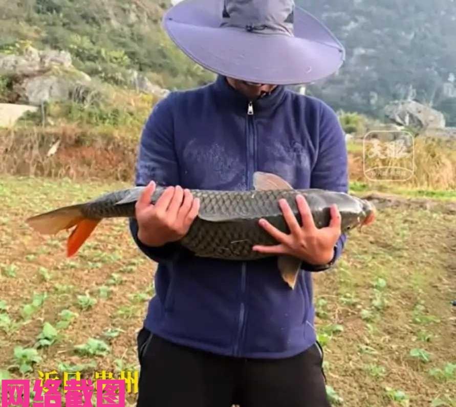 贵州有男子钓到十九斤重的大鱼。男子心情比较高兴，于是把大鱼放在家里水池中放养