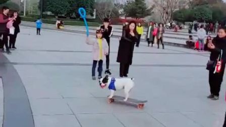 応子广场舞 兰花草(雨夜合作版)含背面与口令清