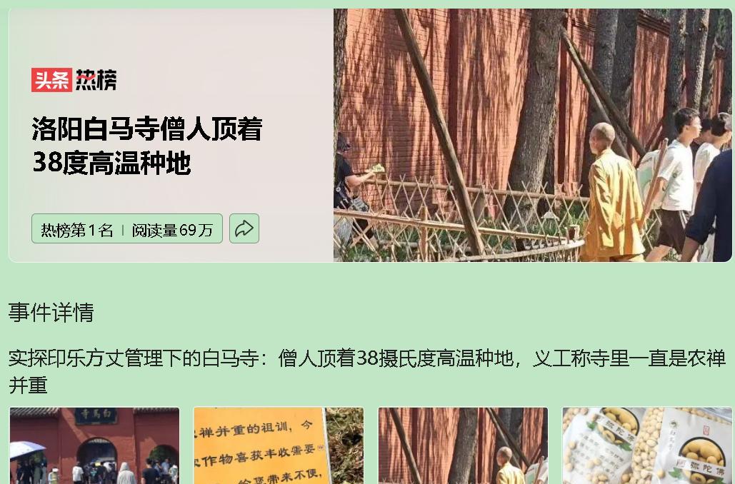 印乐方丈在白马寺的20年，把“农禅并重”玩出了花。那会儿，寺院高温下的劳