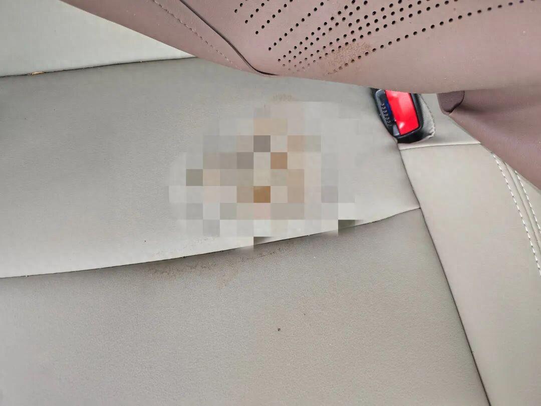 “太丢人了！”男子自驾从山东返程上海，想着自己开车也无聊，不如拉个顺风车，谁知乘