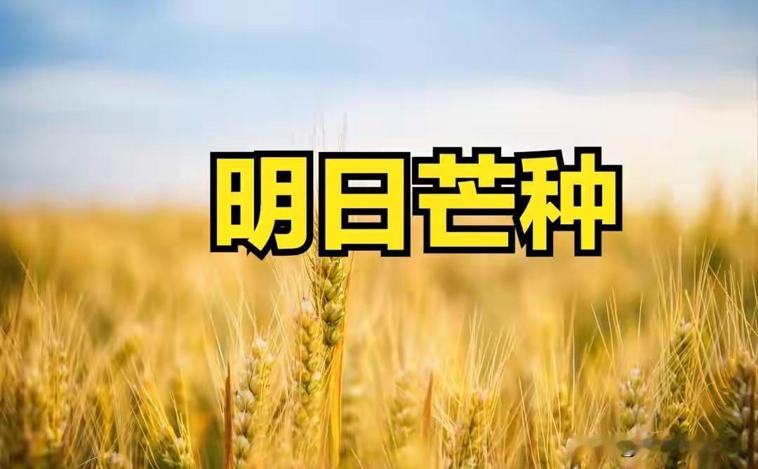 不是迷信！明日芒种，记得：1不喝、2要煮、3不吹、4要吃！芒种一到，暑气带
