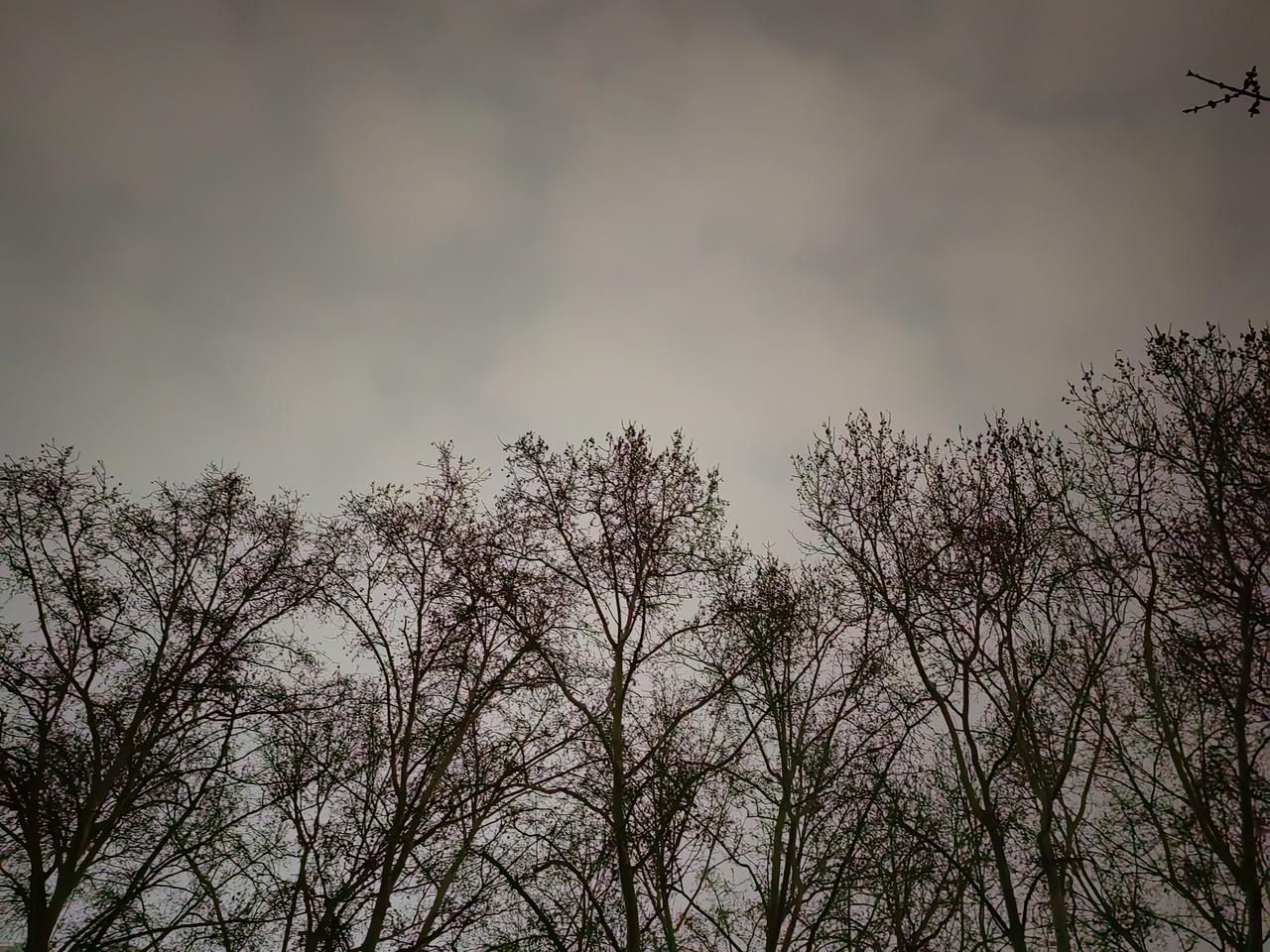 一位乡人很气愤。原来老家亲戚过来，都有老乡帮忙接待，车接车送，甚至带着到就近的