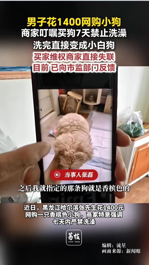 “网购套路深！”近日，黑龙江，一男子想要只香槟色的小狗，他在一家网店看中了一只，