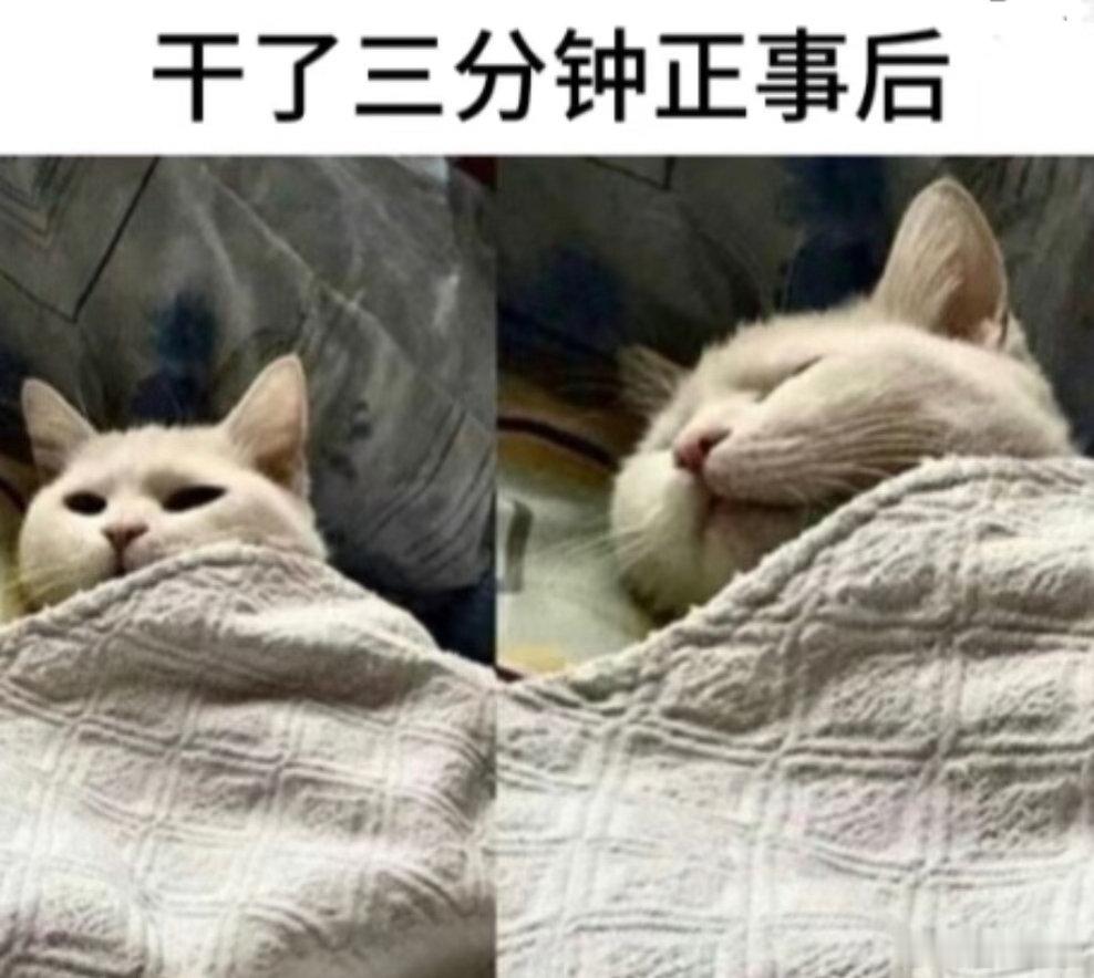 睁开眼睛时、又是满满正能量的一天！睁不开就是永远年轻、快乐了！