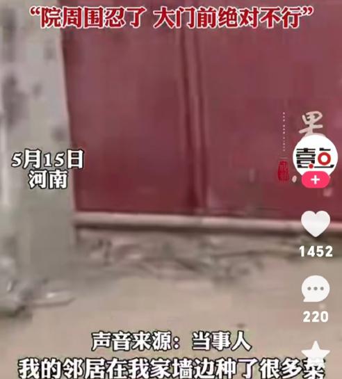 河南周口，一位在外打拼的男人返乡时彻底傻眼了。自家院门口，原本平坦的出行通道，如
