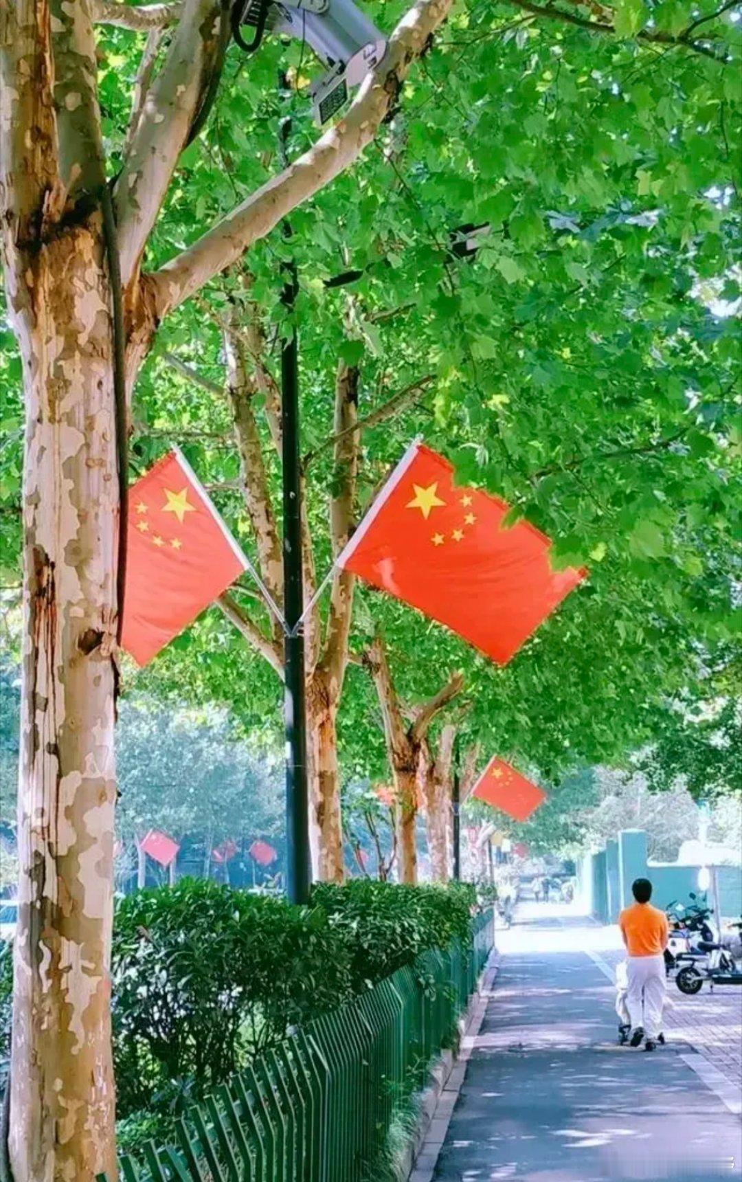 我们太习惯在“宏大叙事”里寻找归属感，觉得只有整齐划一的口号，才能证明一个国家的凝聚力。韩国网友那句