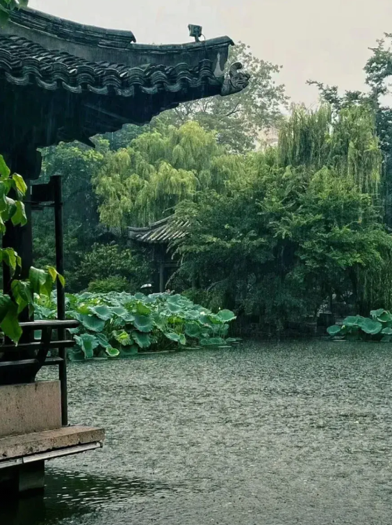 你知道成都为何这么热吗？因为雨水少了，能够降温的连阴雨少了。雨，可以降温，但不是