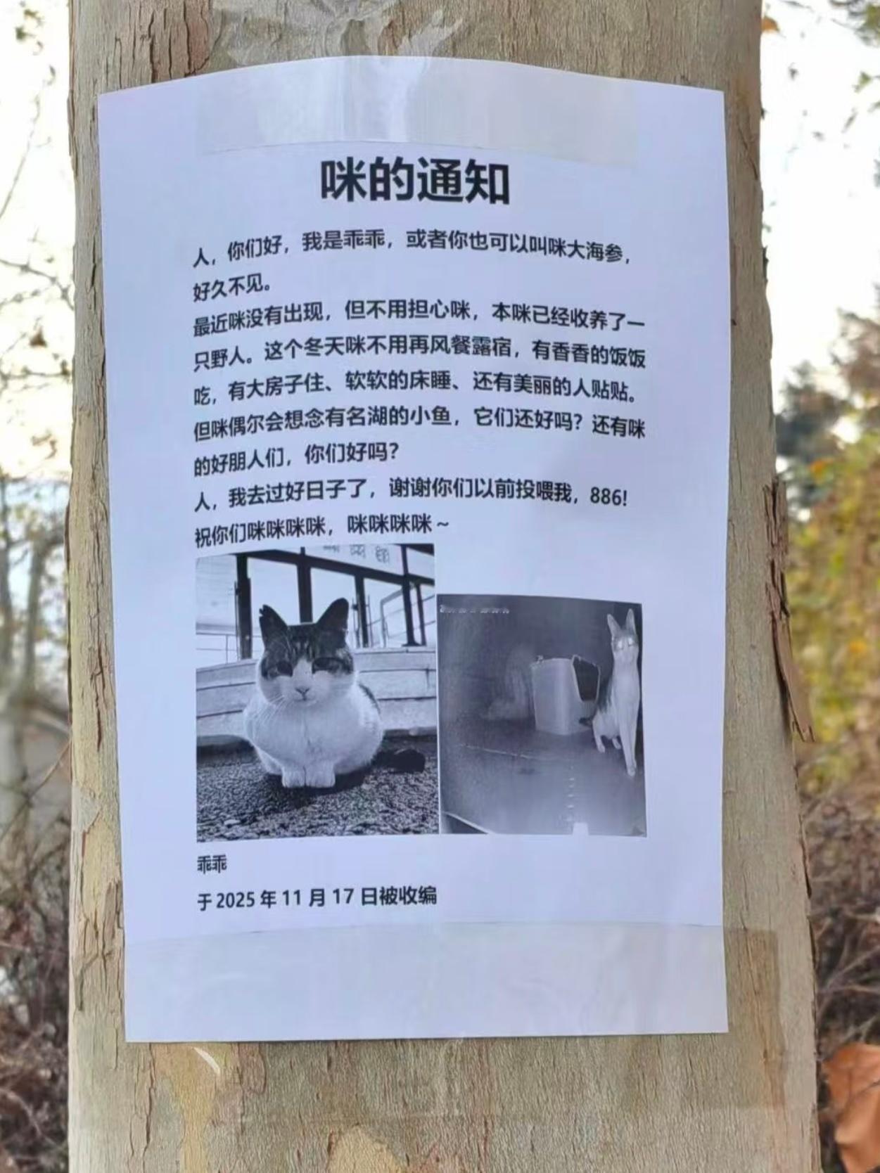 但愿咪长久，千里共咪咪我上网就是来看这个的