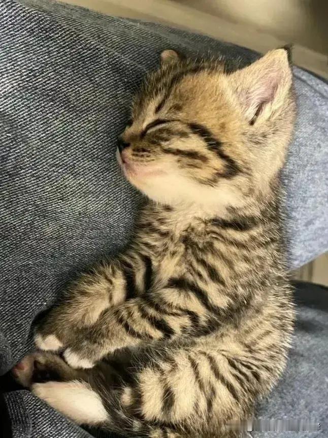 ​​​
