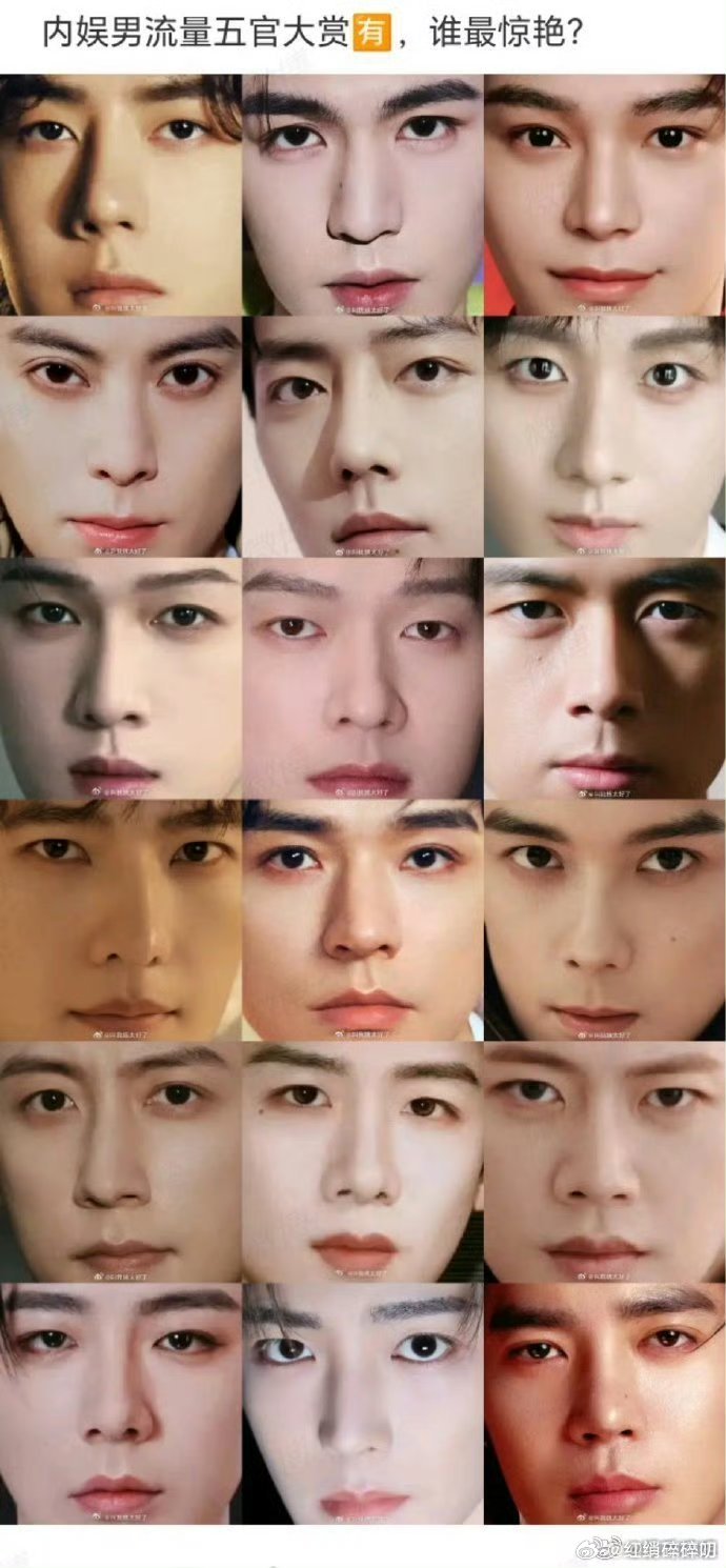 内娱男流量五官大赏就这个图的话，无褶版张凌赫还是很优越的