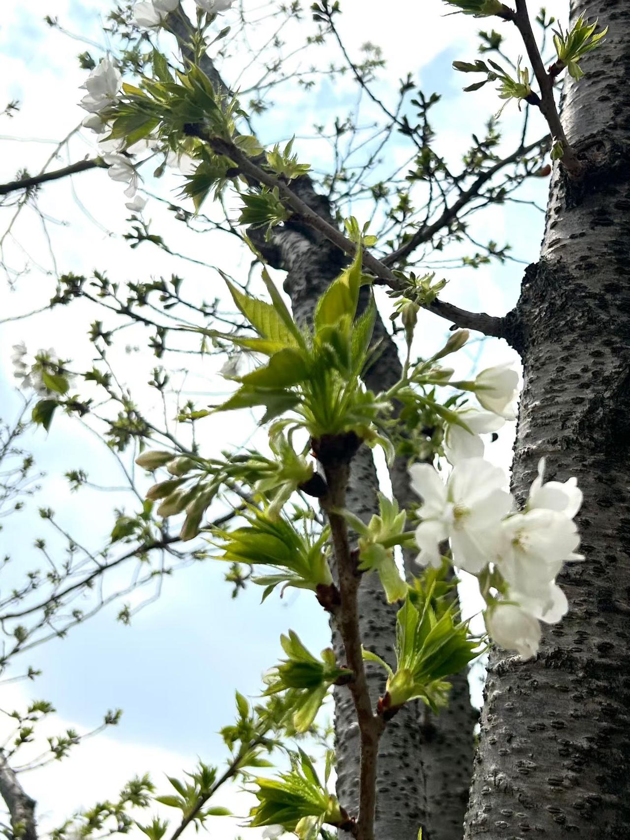 老人临终前，请握住他的手，让他安详的走[祈祷][祈祷][祈祷]人生老病死，这
