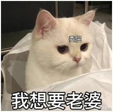 给决战平安京美术组加鸡腿: 彼岸花新皮「和月清歌」你打几分?