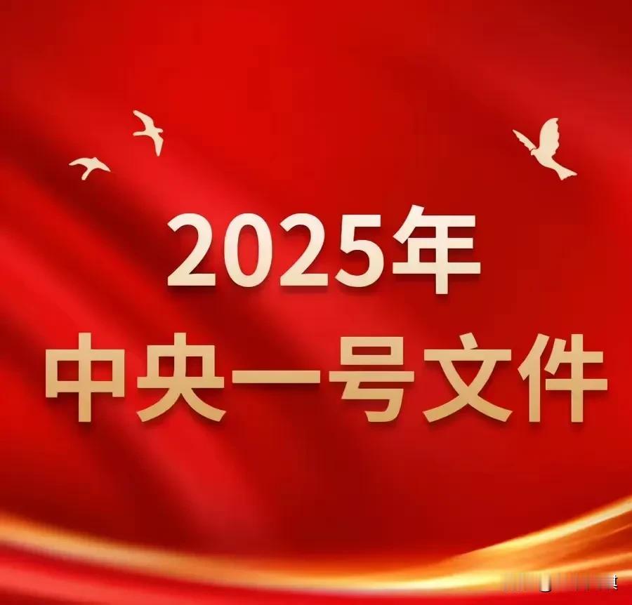 2025年中央一号文件，农民生活息息相关的十五个新政策：​1、整治“大棚房”