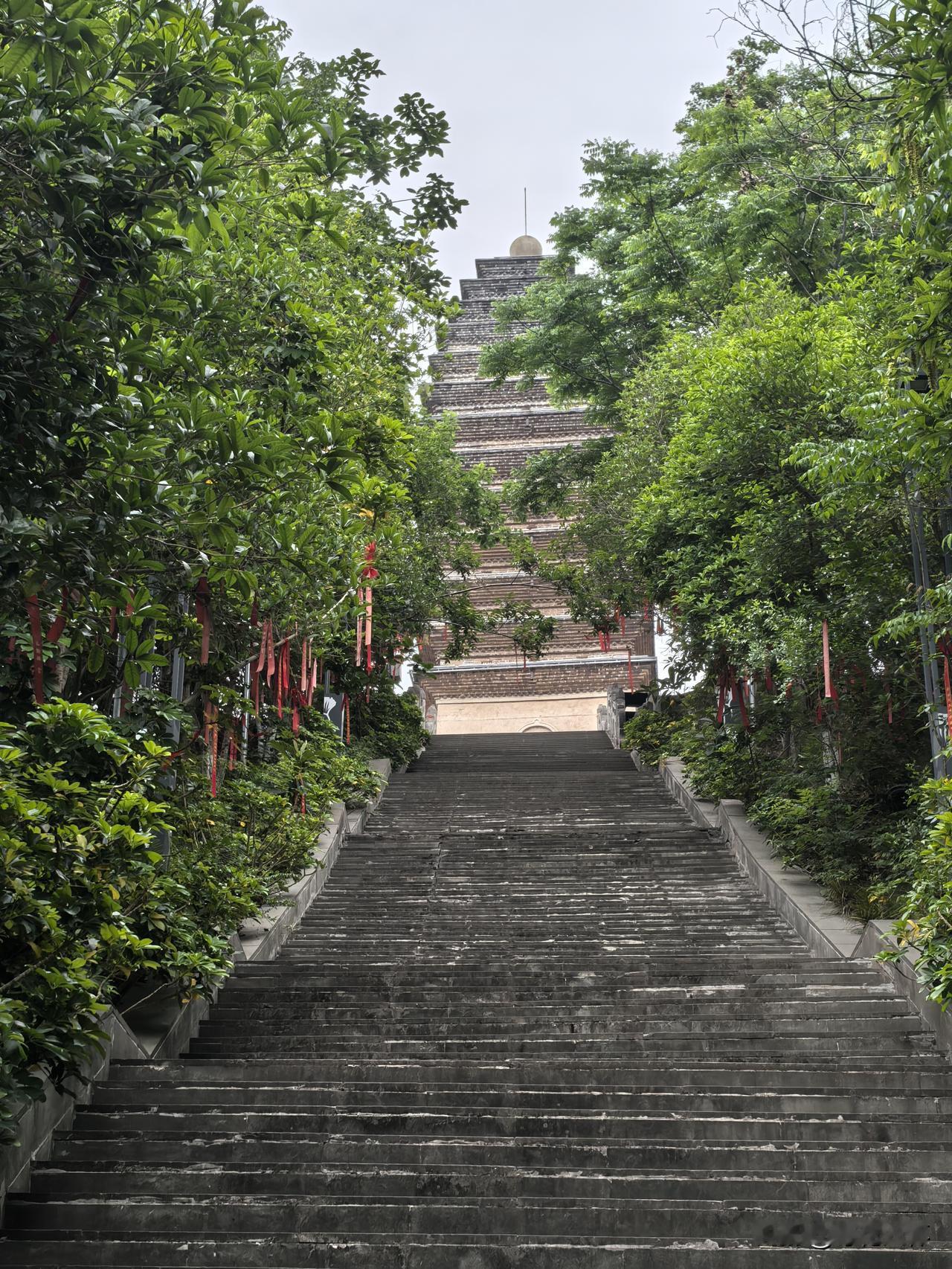猫腻在择天记中的人物设定，圣人之后是八方风雨，都是领悟了神圣境域的高手。这其中有