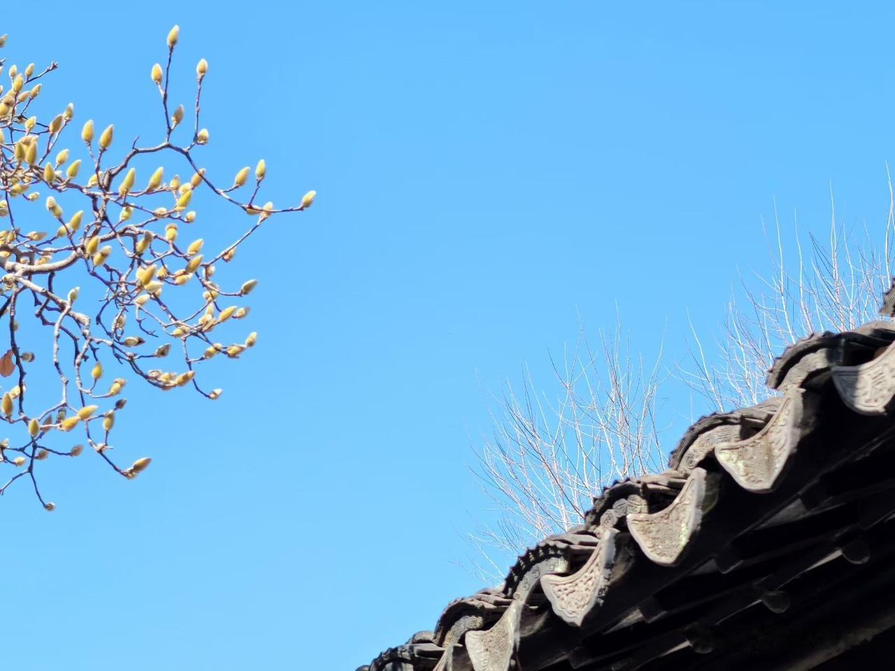 【正月初七客流】2月23日（周一）武汉城市轨道交通线网客运量（含换乘）为24