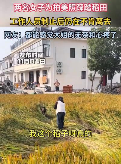 “太可恶了！”上海松江，两名女子出去游玩，看到一片黄澄澄的水稻就想用水稻做背景拍