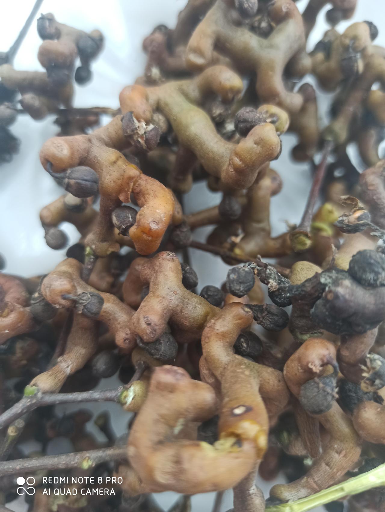 有知道这是什么的吗？这是我小时候的水果兼零食，有吃过的吗？