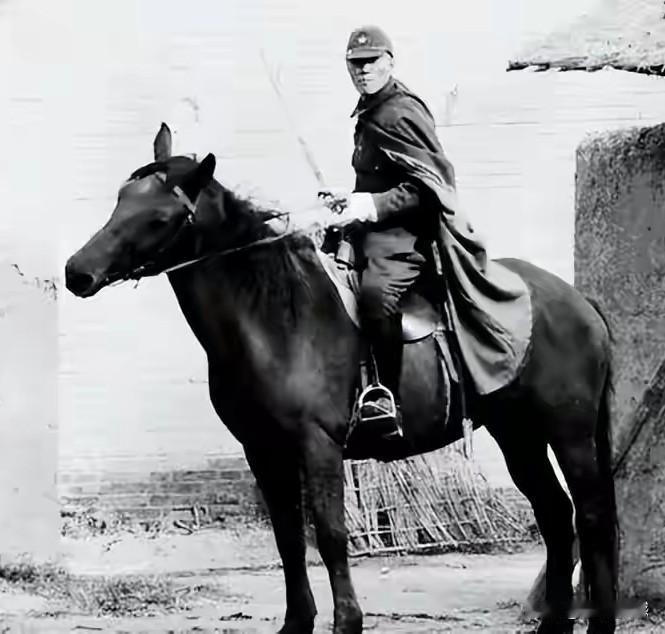 日本鬼子骑的马，被老百姓称之为东洋大马，据说他们骑的马特别高大，比我们这里的马要