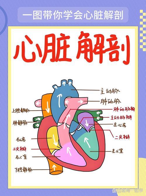 心脏好不好？关键看这8个指标，全达标的人真的不多这8个指标正是美国心脏协会（