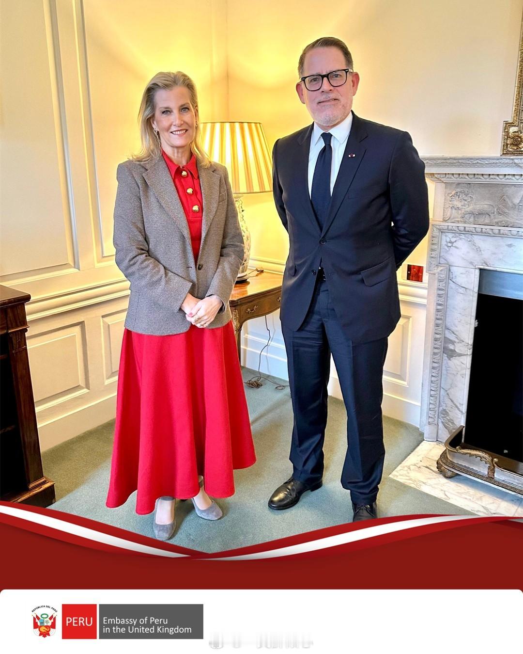 英国王室2026年1月27日，爱丁堡公爵夫人苏菲在伦敦圣詹姆斯宫接见秘鲁驻英