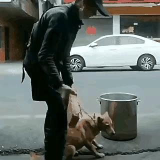 这个人简直是太残忍了如果你非要说吃狗肉是你的自由，那好，你给它个痛快的也行啊，