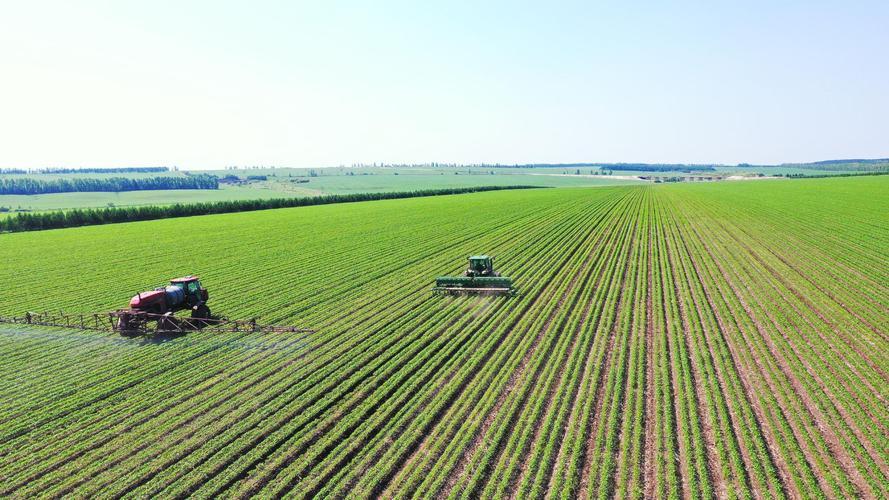 几百亿斤粮食说不要就不要了？数万名官兵和农民辛苦开垦半个世纪，能养活一亿人的中国