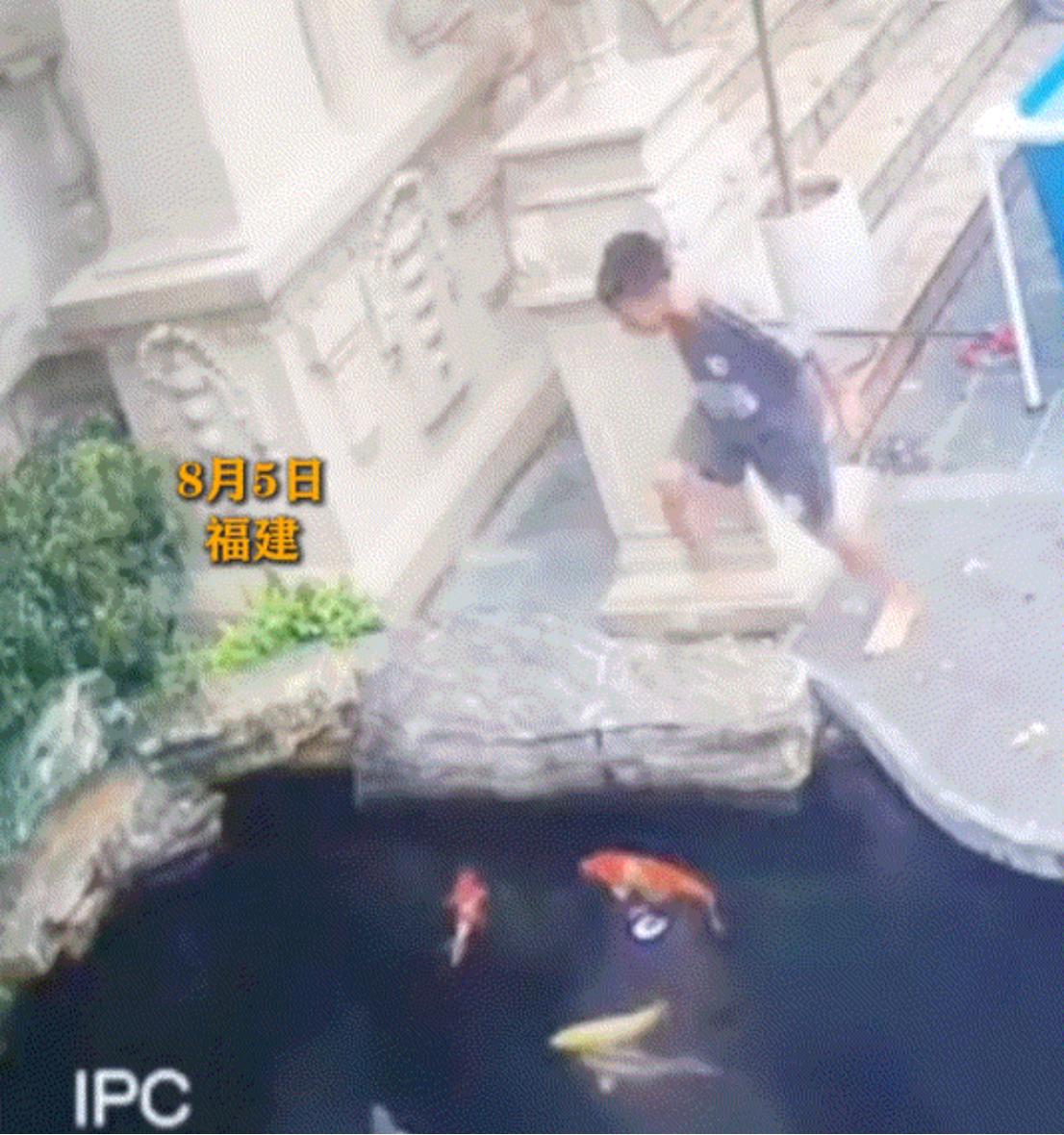 揪心！男孩为抱回溺水小狗，毫不犹豫的跳进鱼塘！ 近日，一段据称拍摄于福建的视