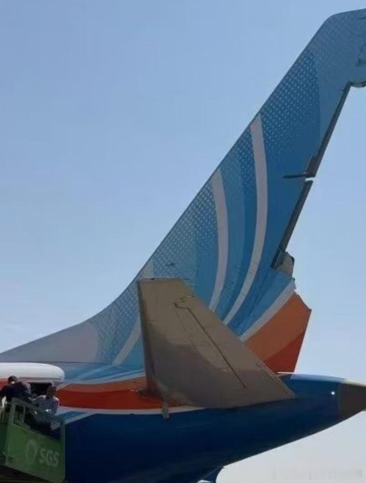 机长被刺伤仍开舱门救乘客一连串的幸运叠加才挽救了这架航班✈️，174个人，还有2