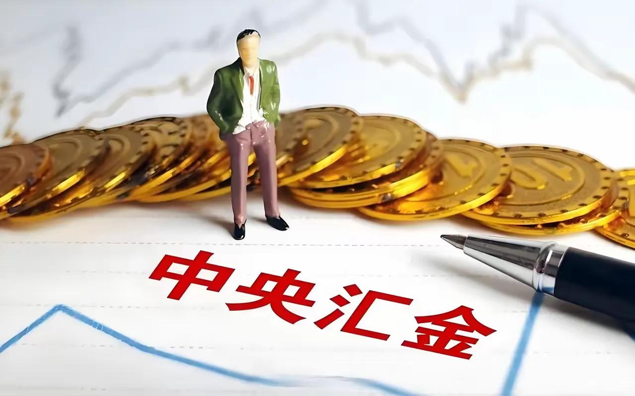 揭秘中国真正的顶级资本——中央汇金！………………………………..中央汇金没有