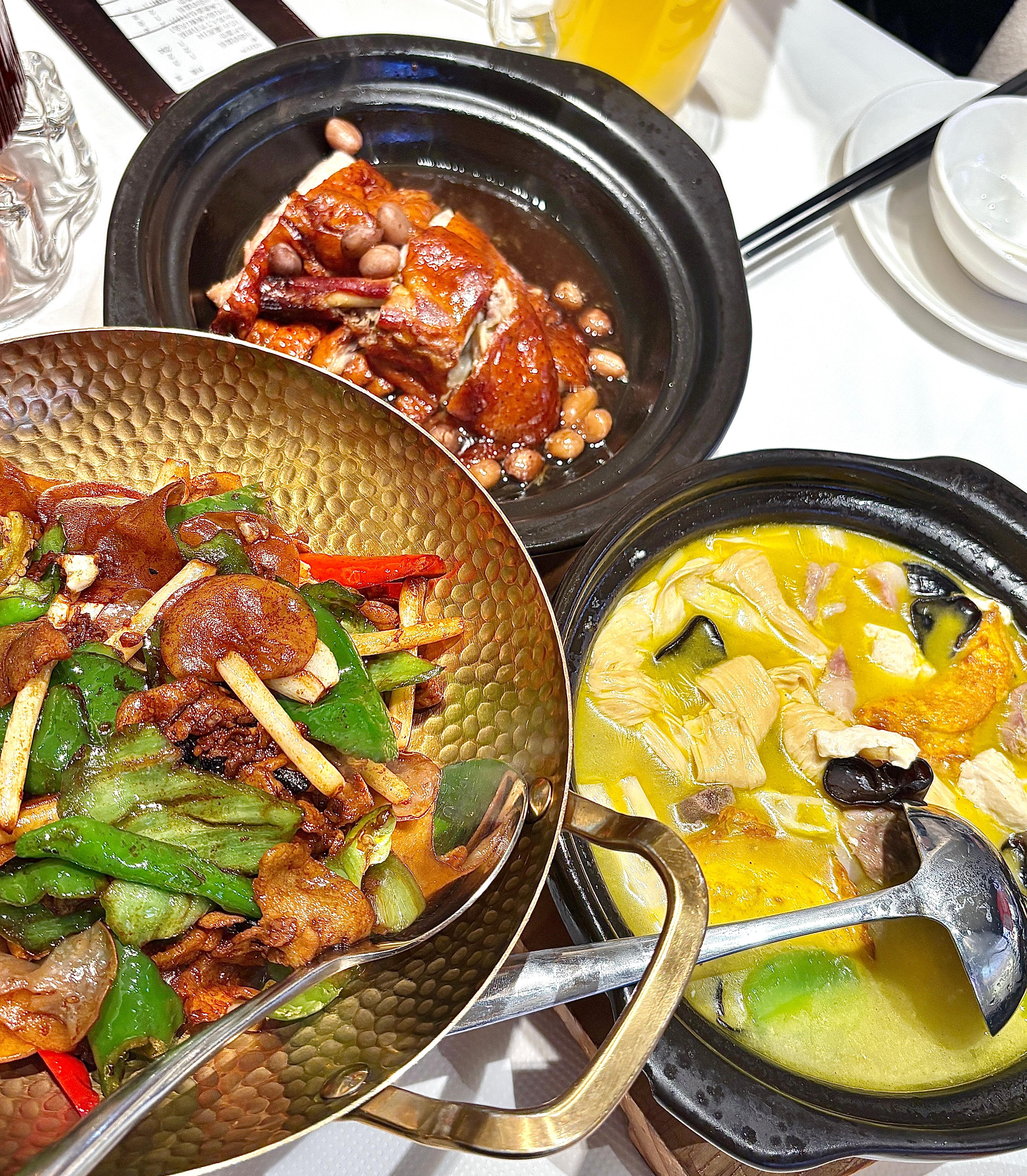 小猫盘中餐≽^⦁˕⦁𐙚≼