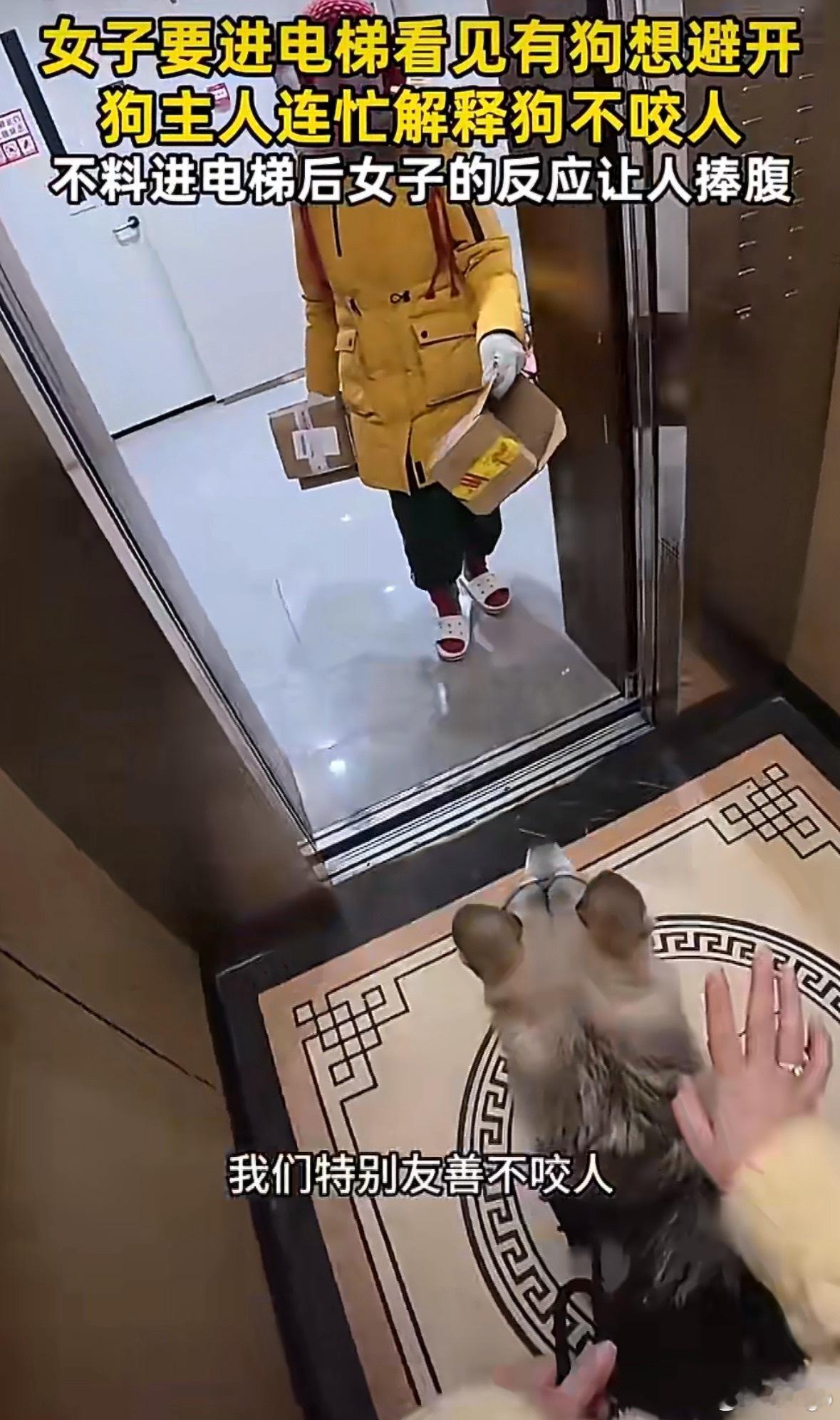 看见有狗想避开连忙解释狗不咬人经典来了，“我家的狗不咬人”。。。你戴个嘴套比你说