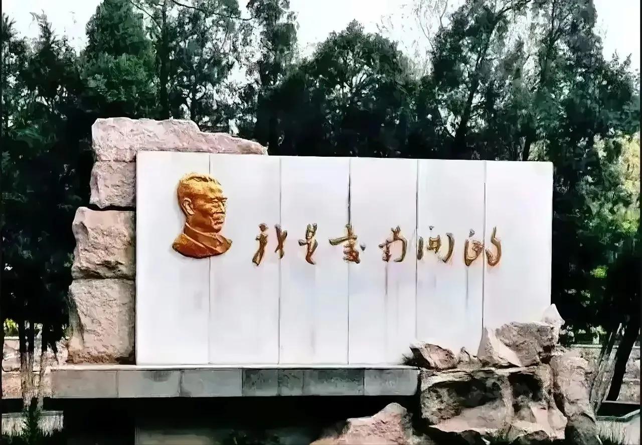 真是服了，10个人有9个人不认识石碑上的字，你认识吗？请写在评论区。石碑上的