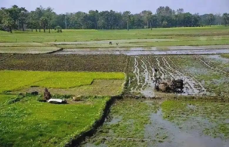 想象一下，地球上有一片土地，面积比我国青海省还小，却拥挤地生活着超过7亿人。这就