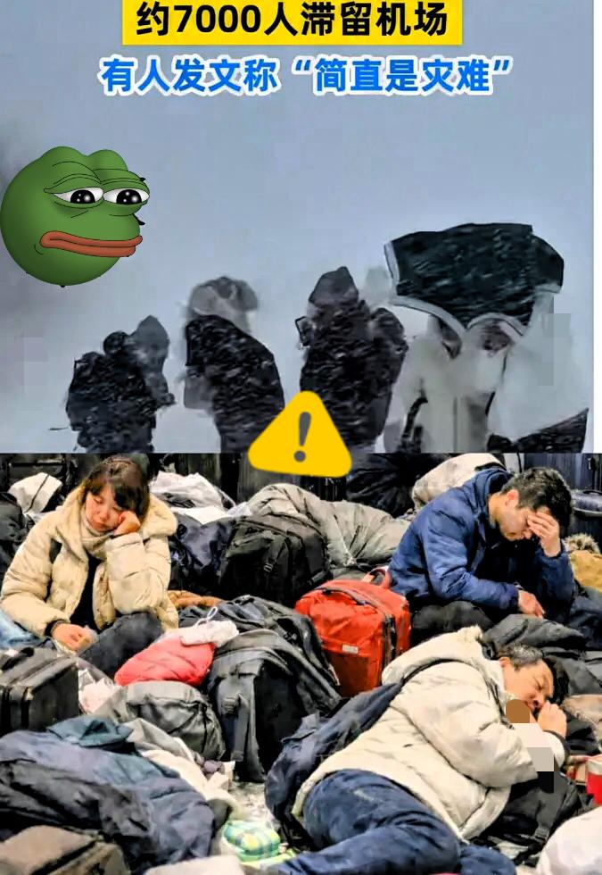 求救！被困北海道机场，急求国家派包机接我们回国！最近，互联网上的一些声音