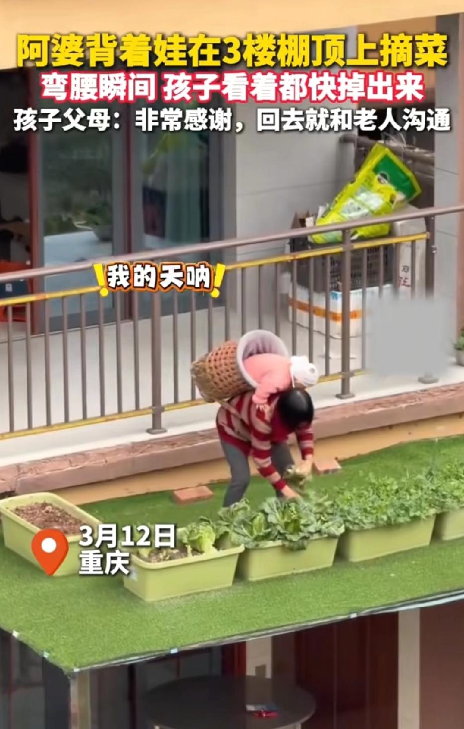 心真大！重庆，女子把孩子装在背篓里，爬上3楼阳台外的遮阳棚摘菜，她弯腰摘菜时，背