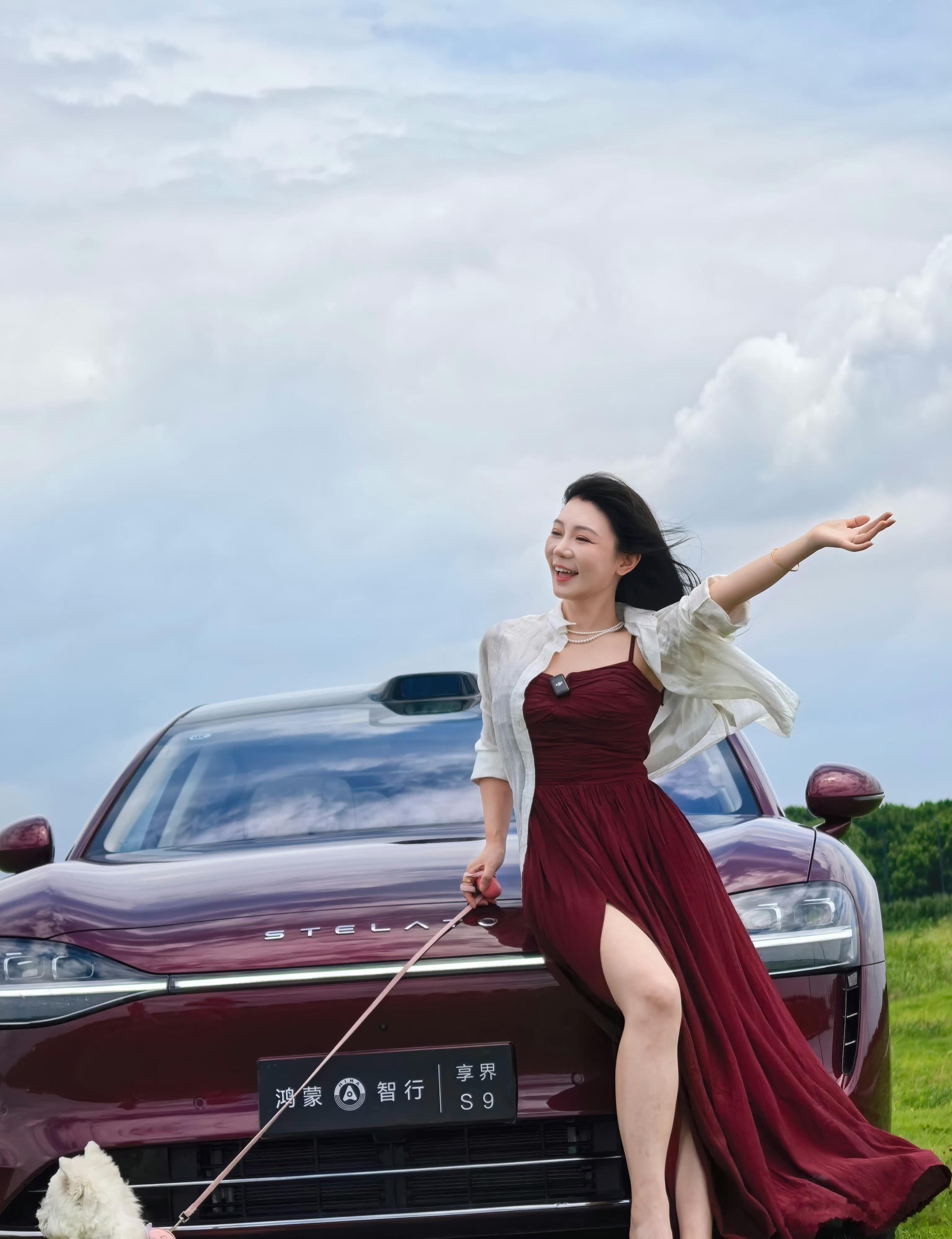 享界让豪华轿车市场四分天下现在国产车真的越来越牛了，尤其是享界这波“旗舰9系”